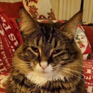 Meet your Posher, Pam